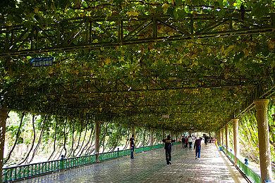 英特尔新旗舰Ultra 9 285K包装盒造型公布